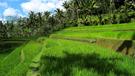 Kouzlo Bali a Jelení ostrov