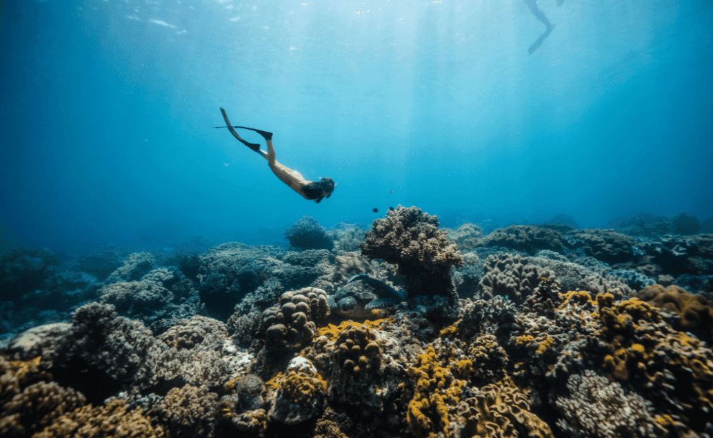 Raja Ampat - neznámý korálový ráj